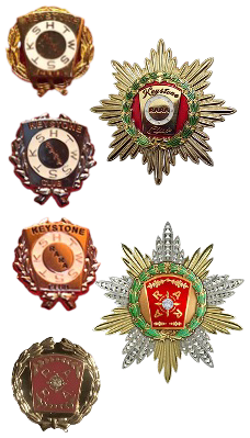 RARA Recognition Pins RARA Recognition Pins